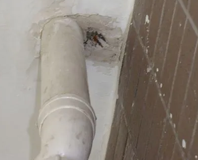 梅列漏水检测哪家好